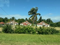 View from tour van