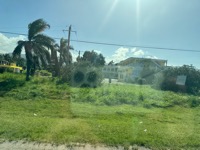 View from tour van