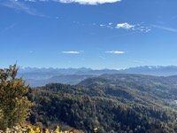 View from Uetliberg