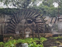 Waterwheel