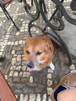 New friend