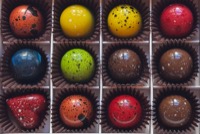 Shockbons