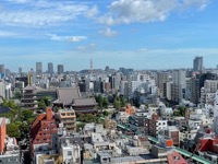 Asakusa from hotel roof