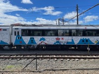 Decorated Fujikyu Railway cars