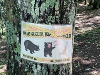 Bear warning sign