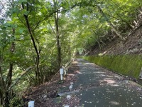 On trail to Mount Mitsutoge