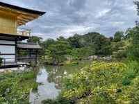 Kinkakujji-mae (Golden Pavilion)