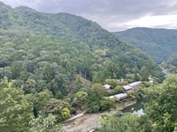 Near Sagano Bamboo Forest