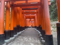 Fushimi Inari-taisha