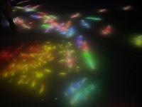 teamLab Planets: Drawing on the Water Surface Created by the Dance of Koi and People - Infinity