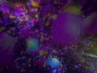 teamLab Planets: Floating in the Falling Universe of Flowers