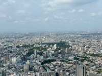 View from Shibuya Sky