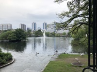 Central pond