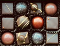 Chocolates from Cocoa Wilds