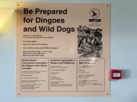 Sign to Be Prepared for Dingoes and Wild Dogs