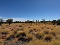 View out from Uluṟu