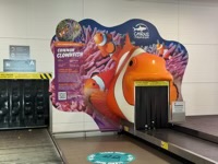 Luggage carousel decorated as Common Clownfish