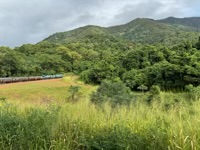 En route to Kuranda