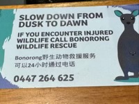 Wildlife warning sign for drivers