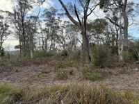 Coal mine site