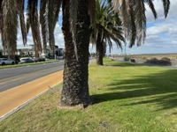 South Melbourne Beach