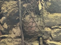 Pot in Incan house