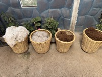 Undyed wool