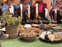 Wool dyeing demonstration